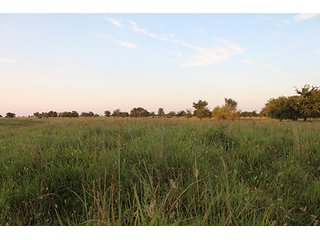 Tract 8 - LAND AUCTION - 440+/- Acres offered in 15 Tracts in Tulsa County